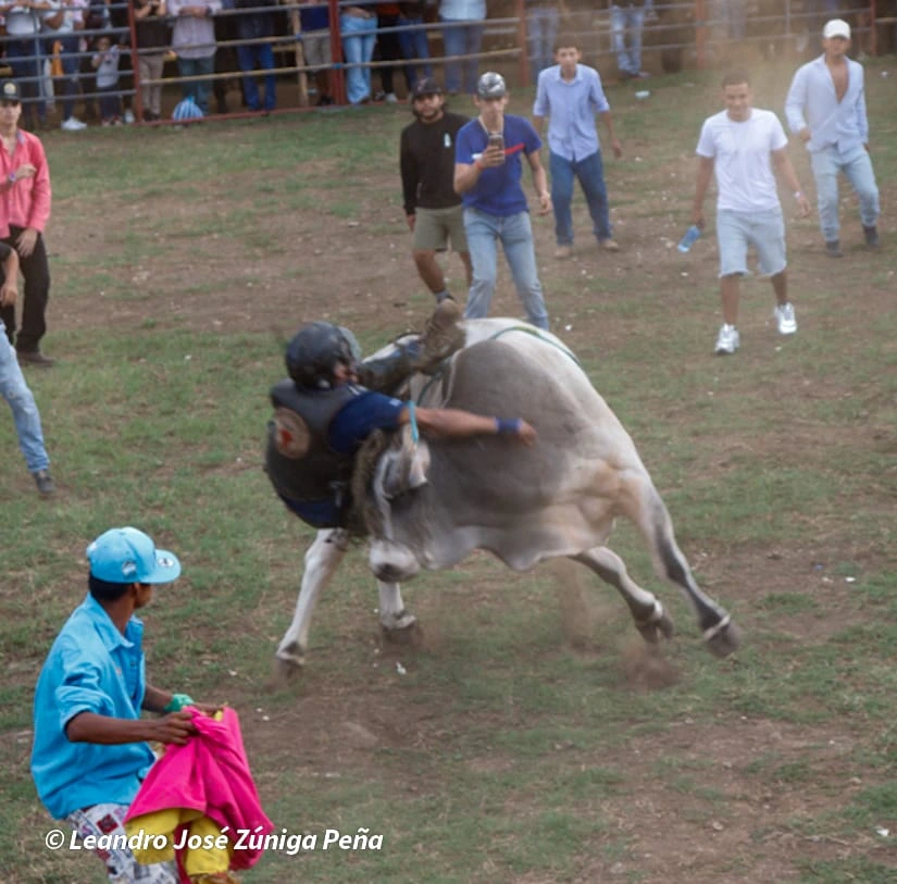 TOROS-(11)