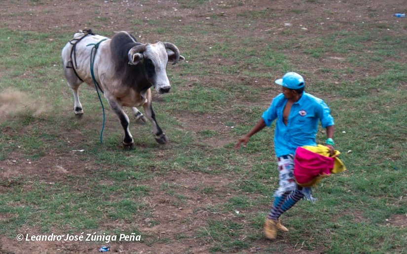 TOROS-(12)