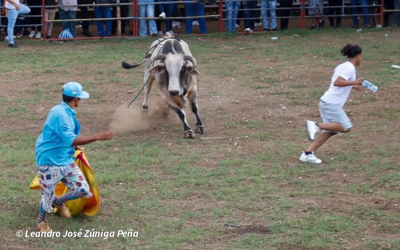 TOROS-(13)