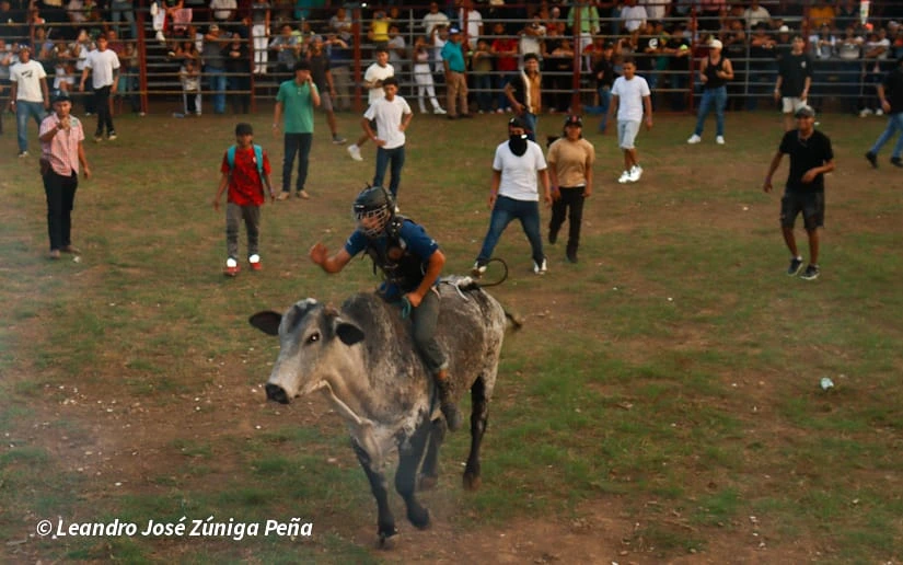 TOROS-(15)