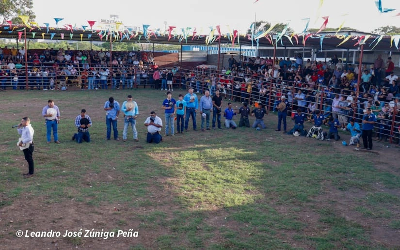 TOROS-(7)