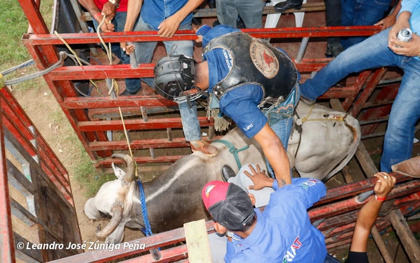 TOROS-(9)