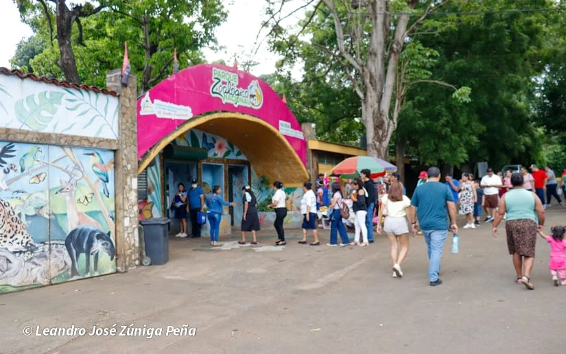 ZOOLOGICO-(16)