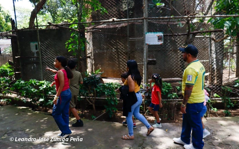 ZOOLOGICO-(19)