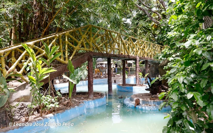 ZOOLOGICO-(20)