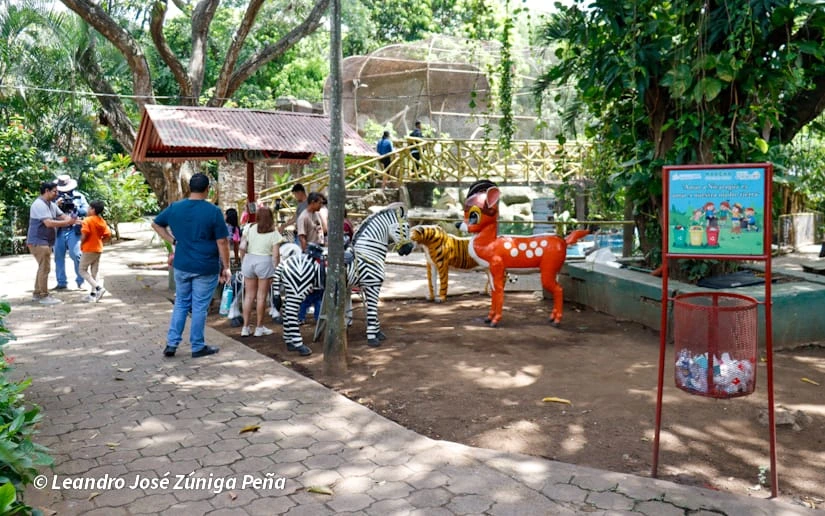 ZOOLOGICO-(7)