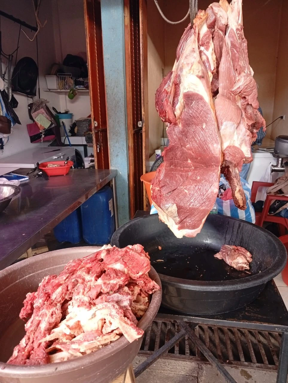 CARNE2