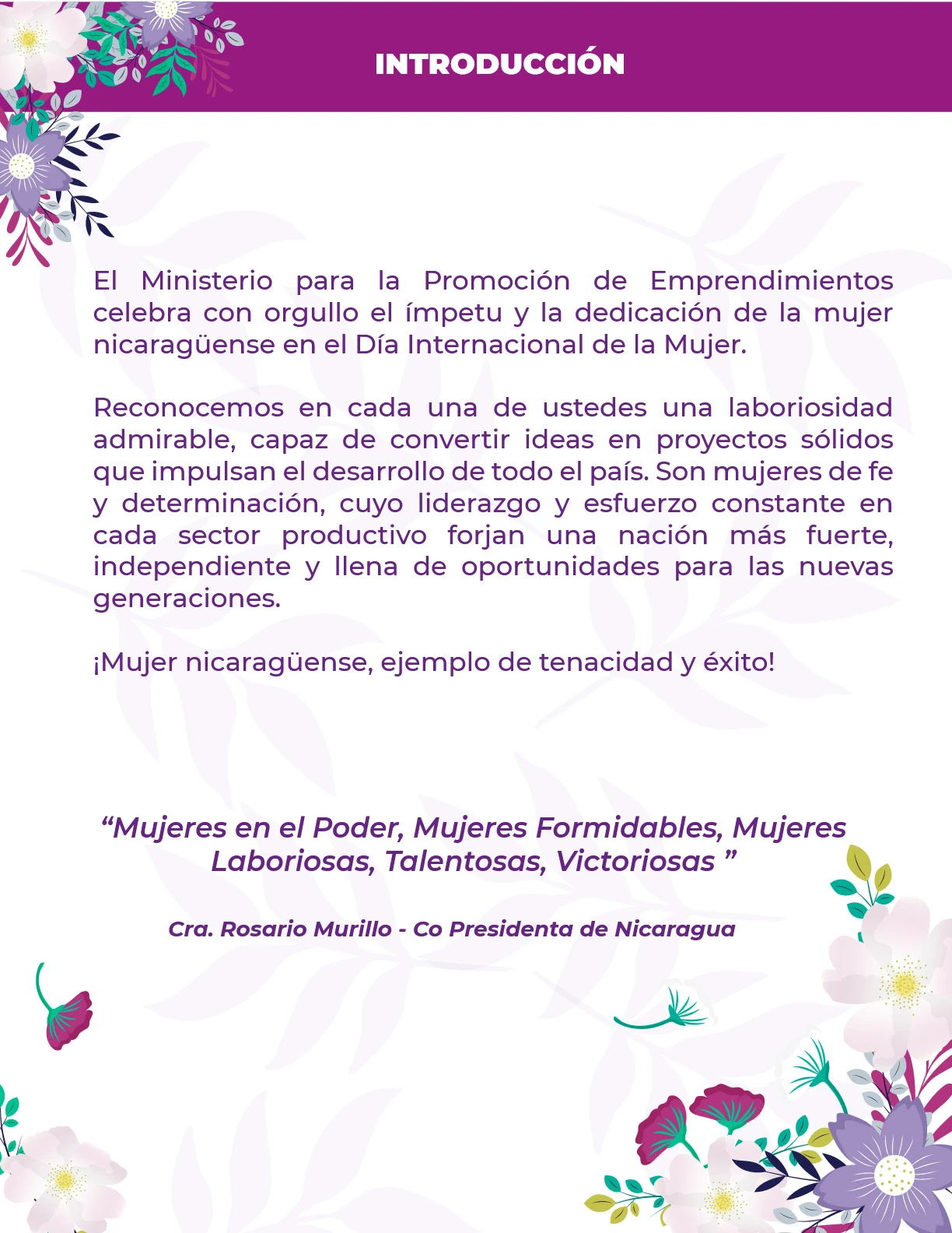 CAT&Aacute;LOGO-(2)