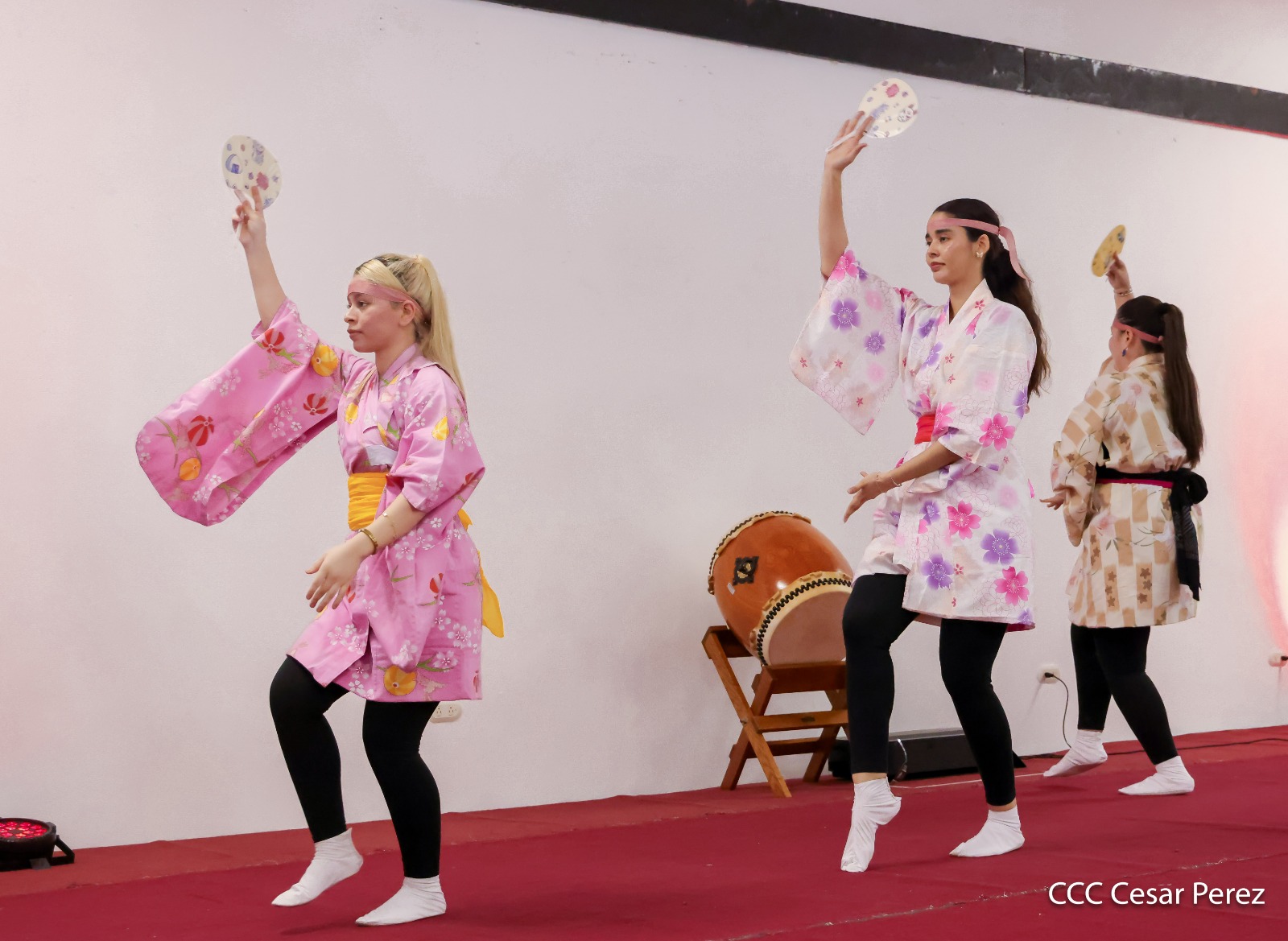 JAPON--(31)