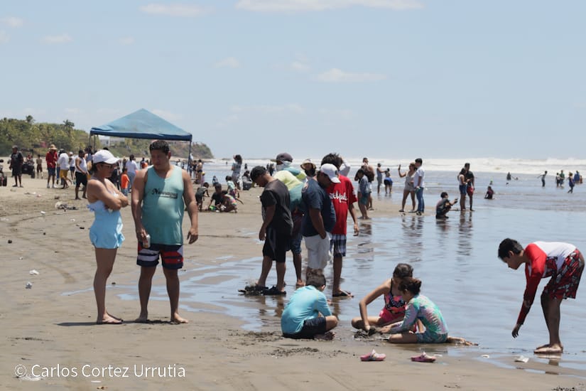 Verano--(11)