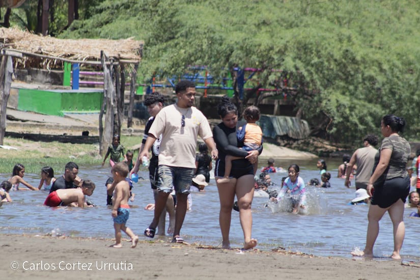 Verano--(26)