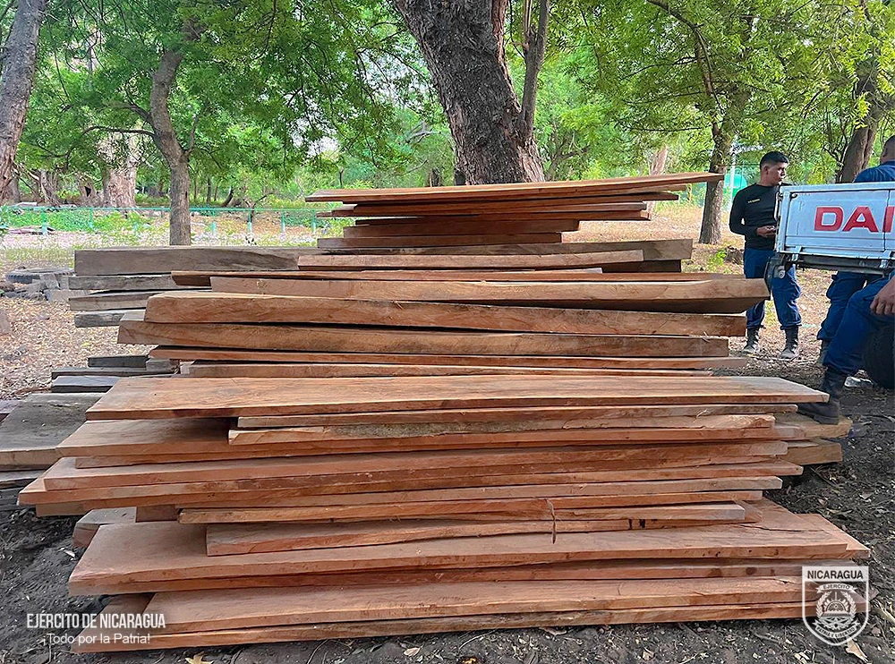 MADERA2