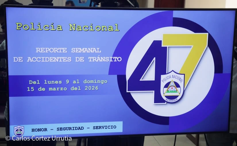 SEGURIDAD1