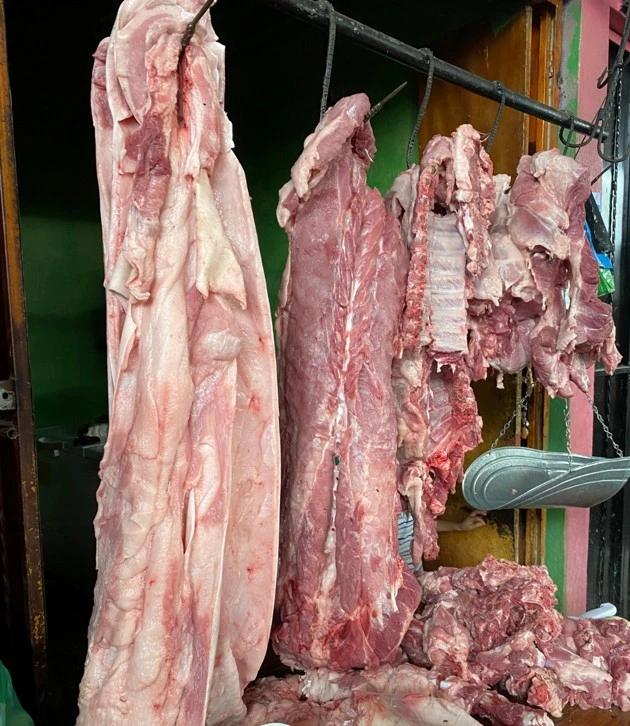 PORCINA1