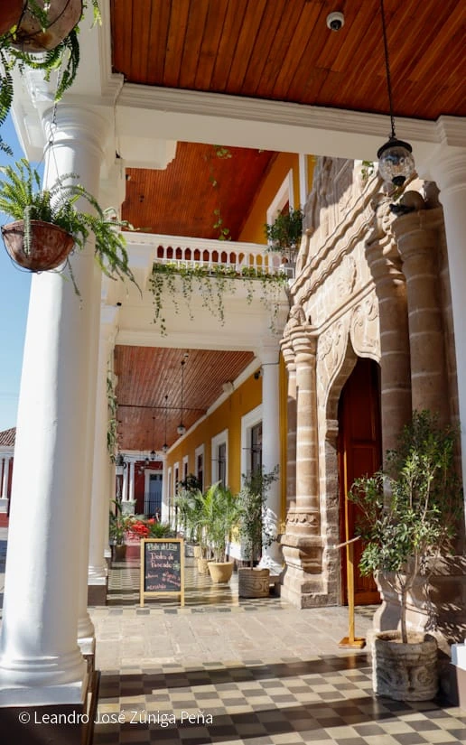 CASA-(24)