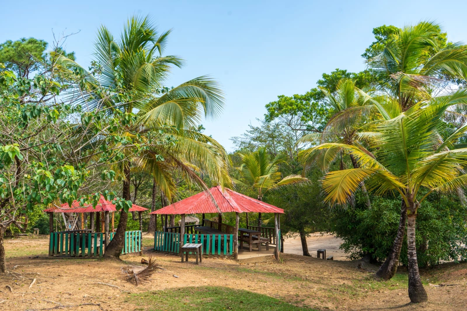 TUAPI-(15)