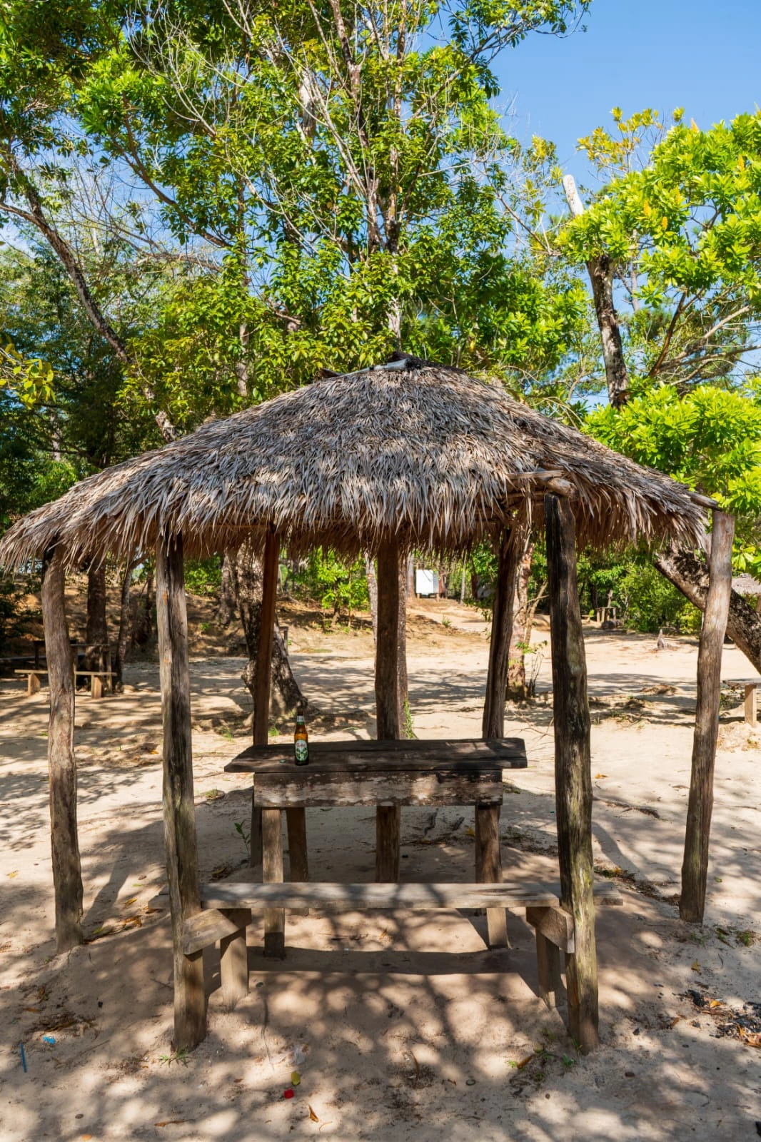 TUAPI-(17)