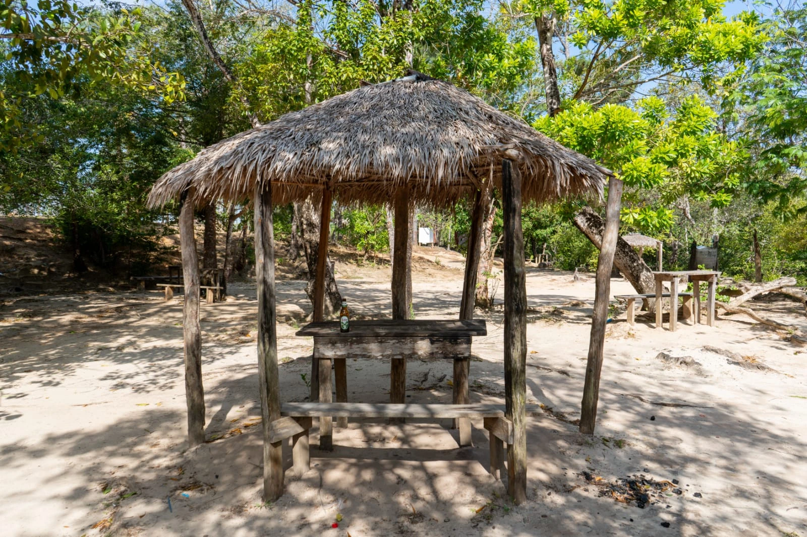 TUAPI-(24)
