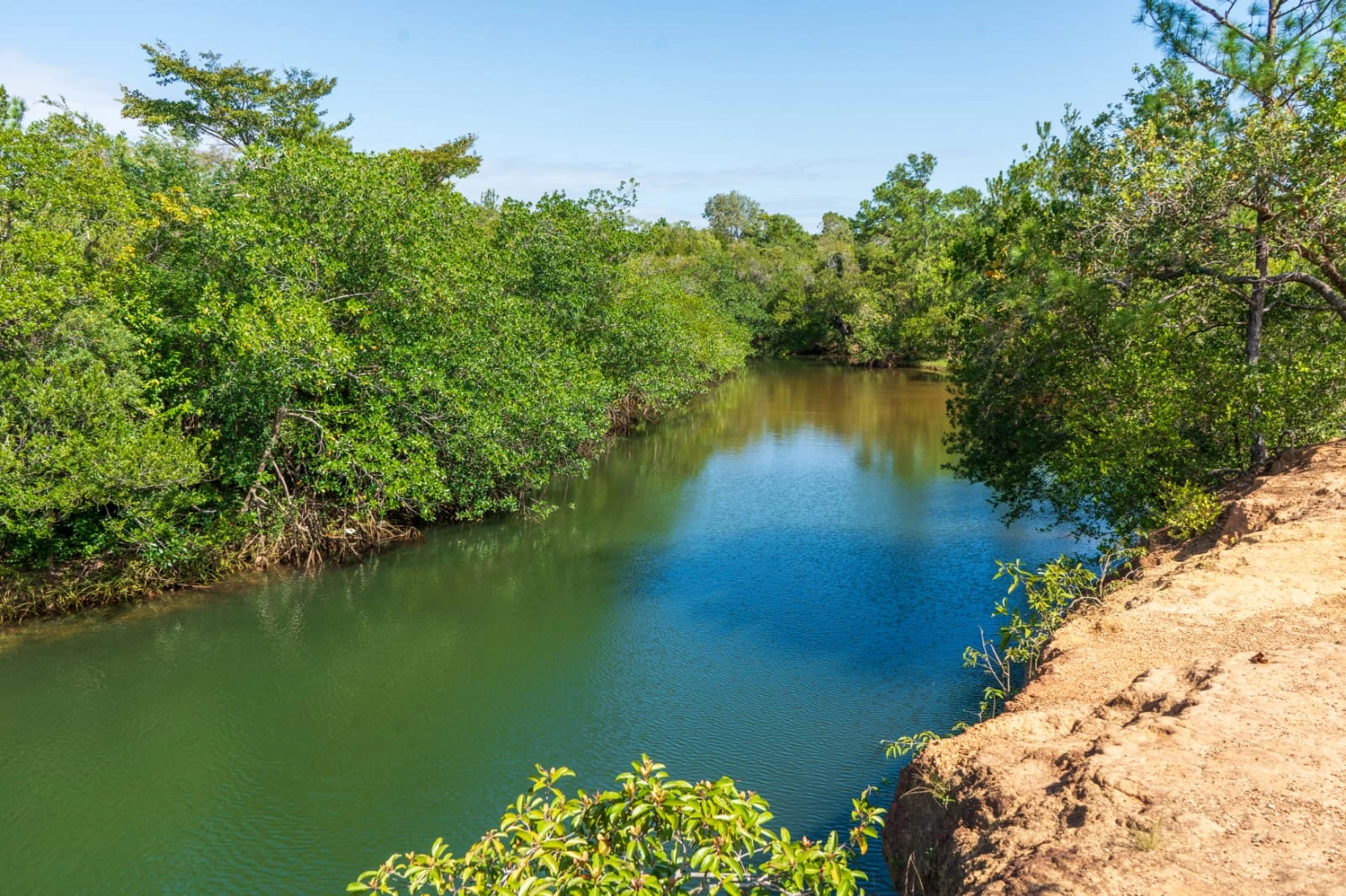 TUAPI-(4)