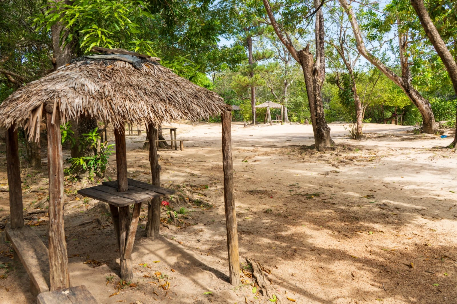 TUAPI-(6)