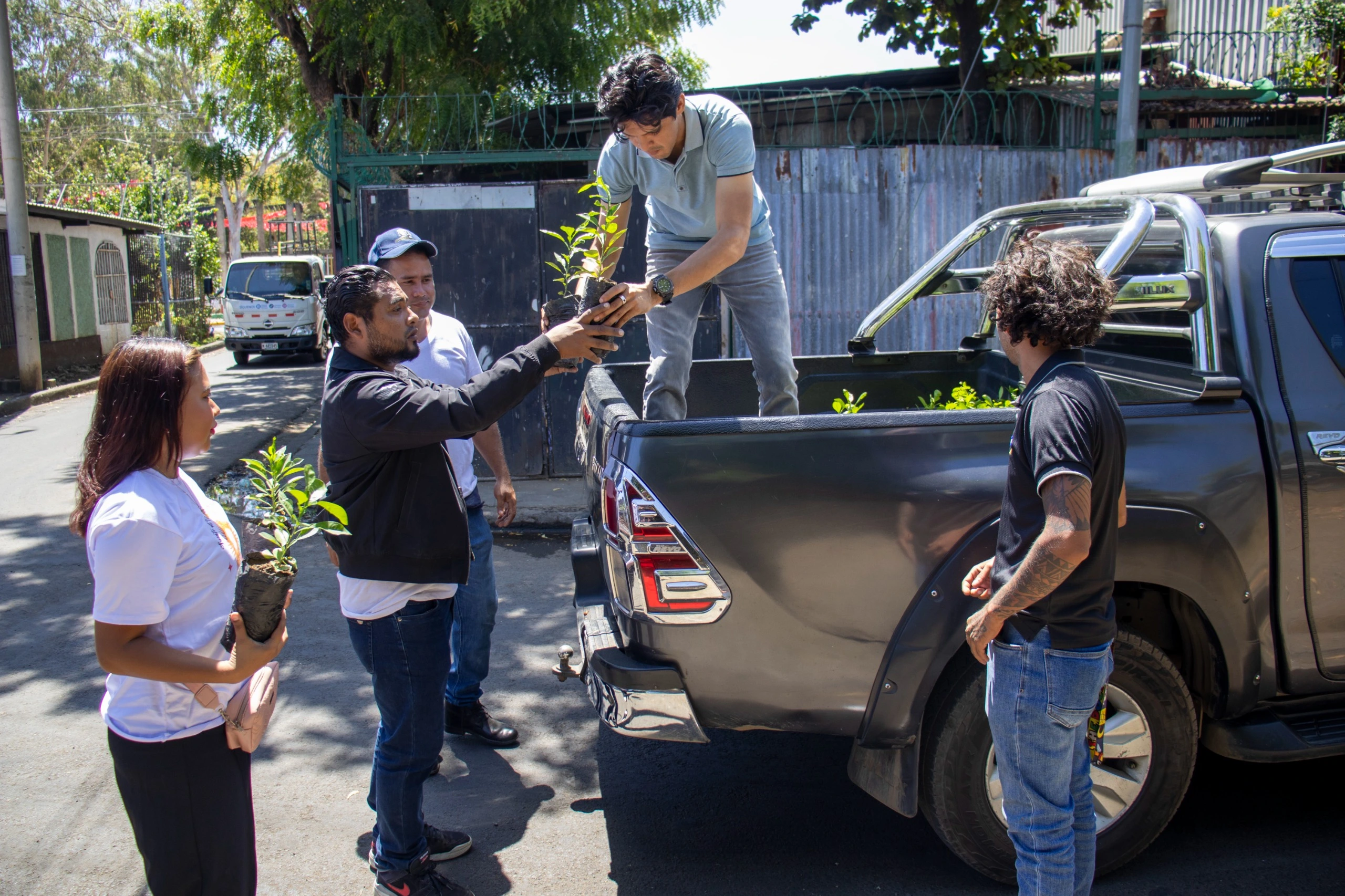 PLANTAS1