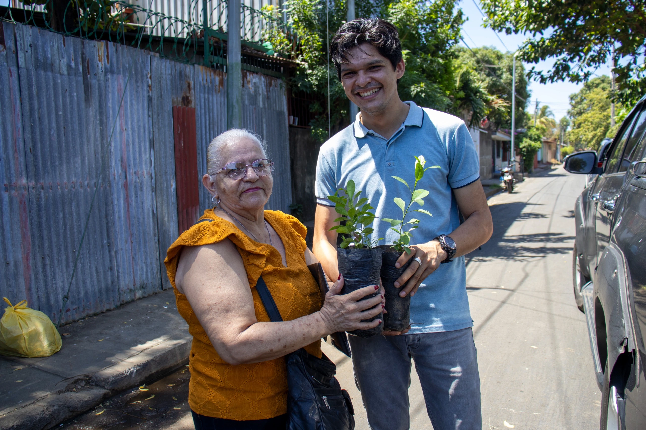 PLANTAS2