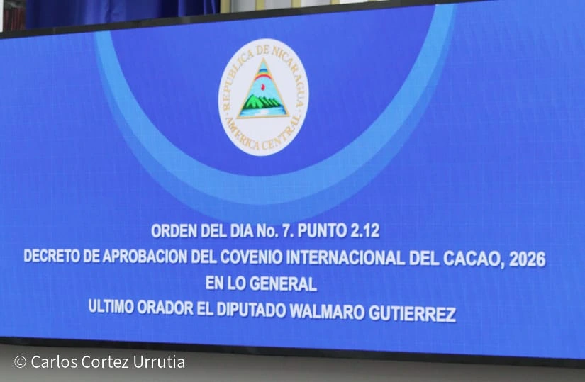 DECRETO14