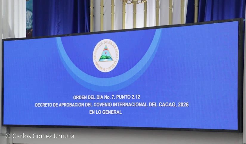 DECRETO6