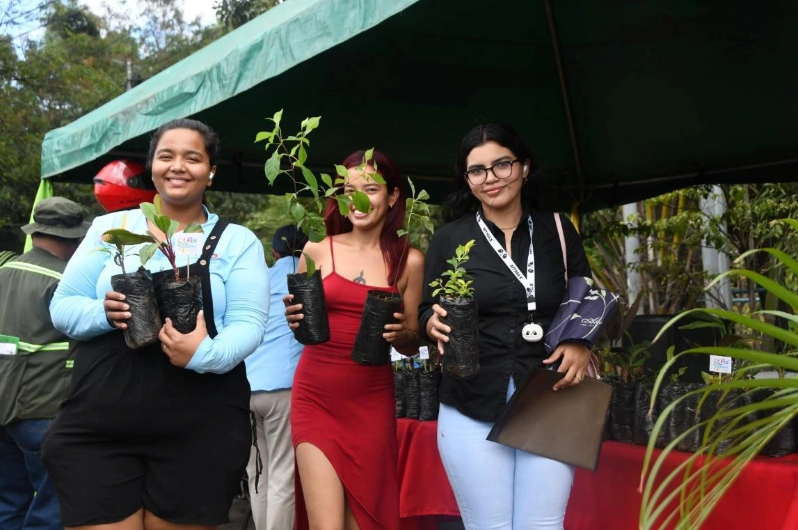 PLANTAS2