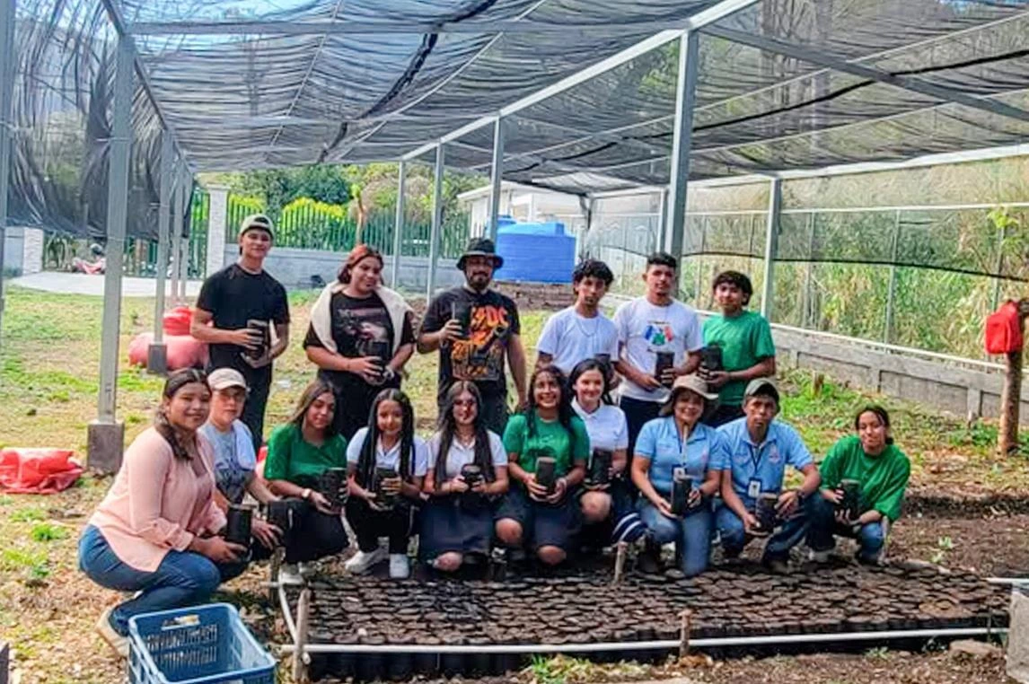 PLANTAS5