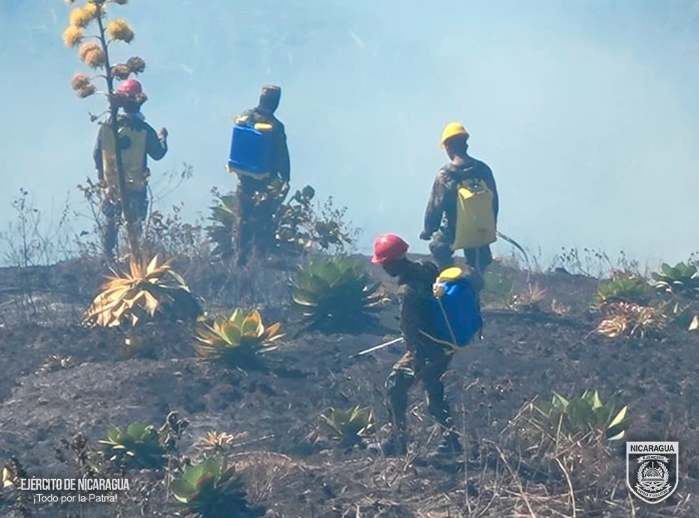 INCENDIO1
