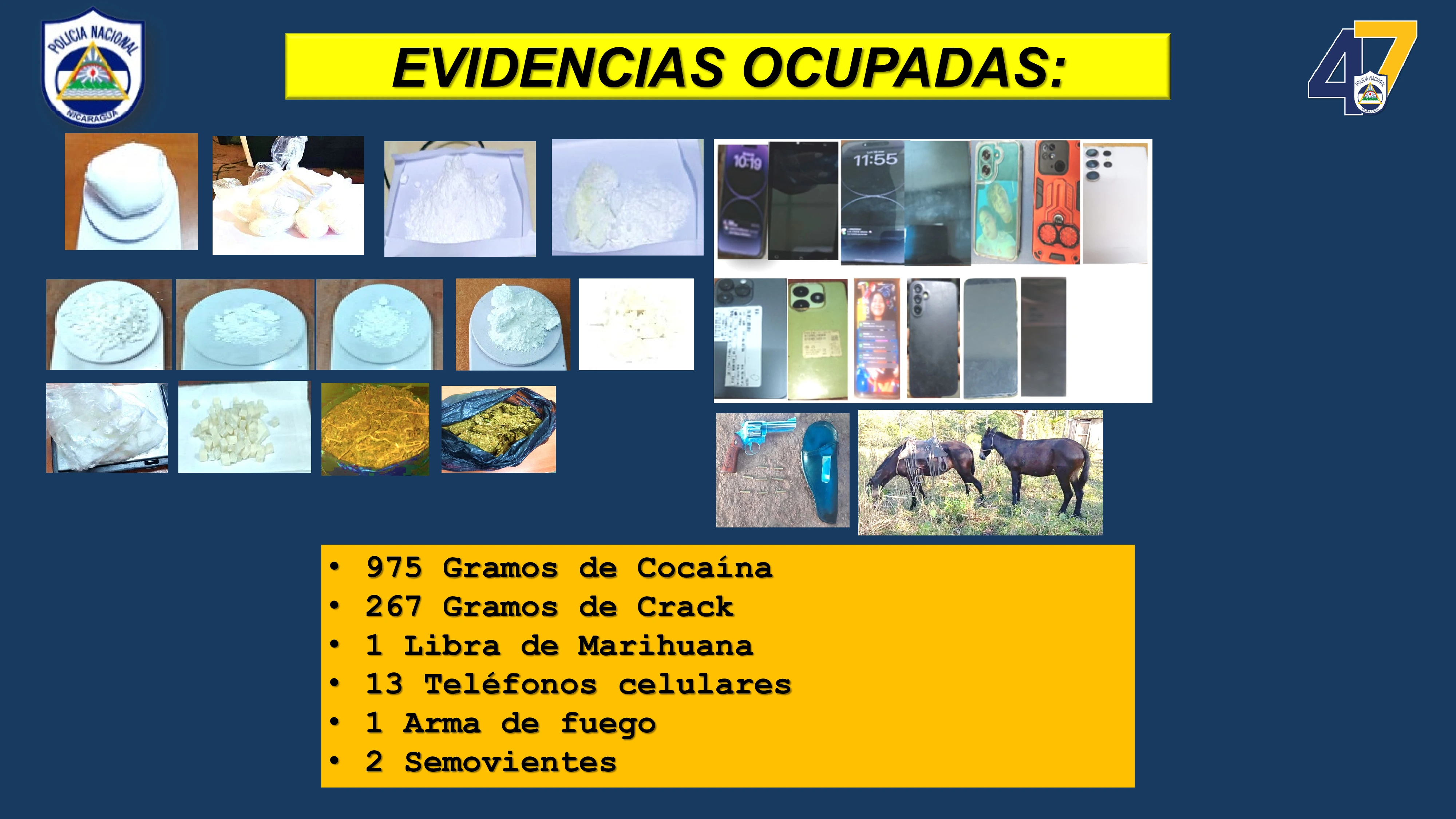 POLICIA7