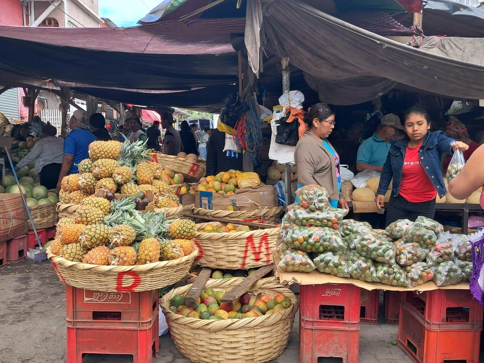 FRUTAS1