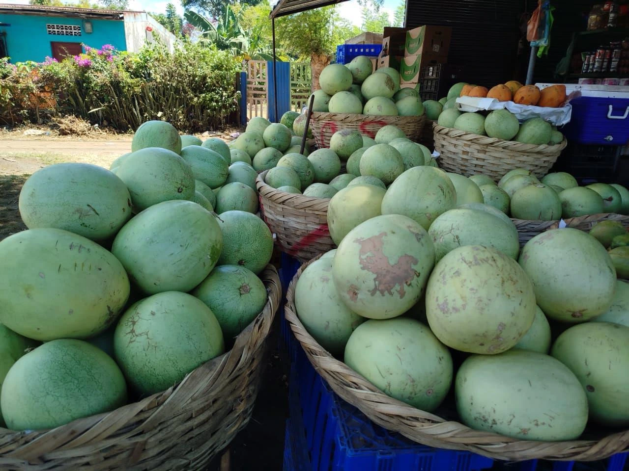 FRUTAS10