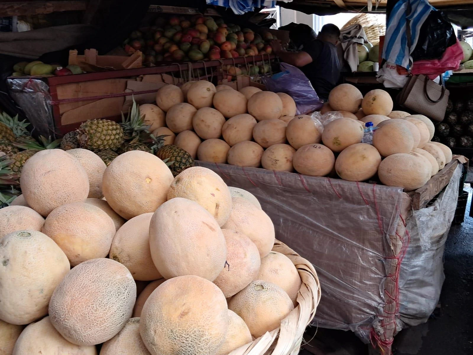 FRUTAS12