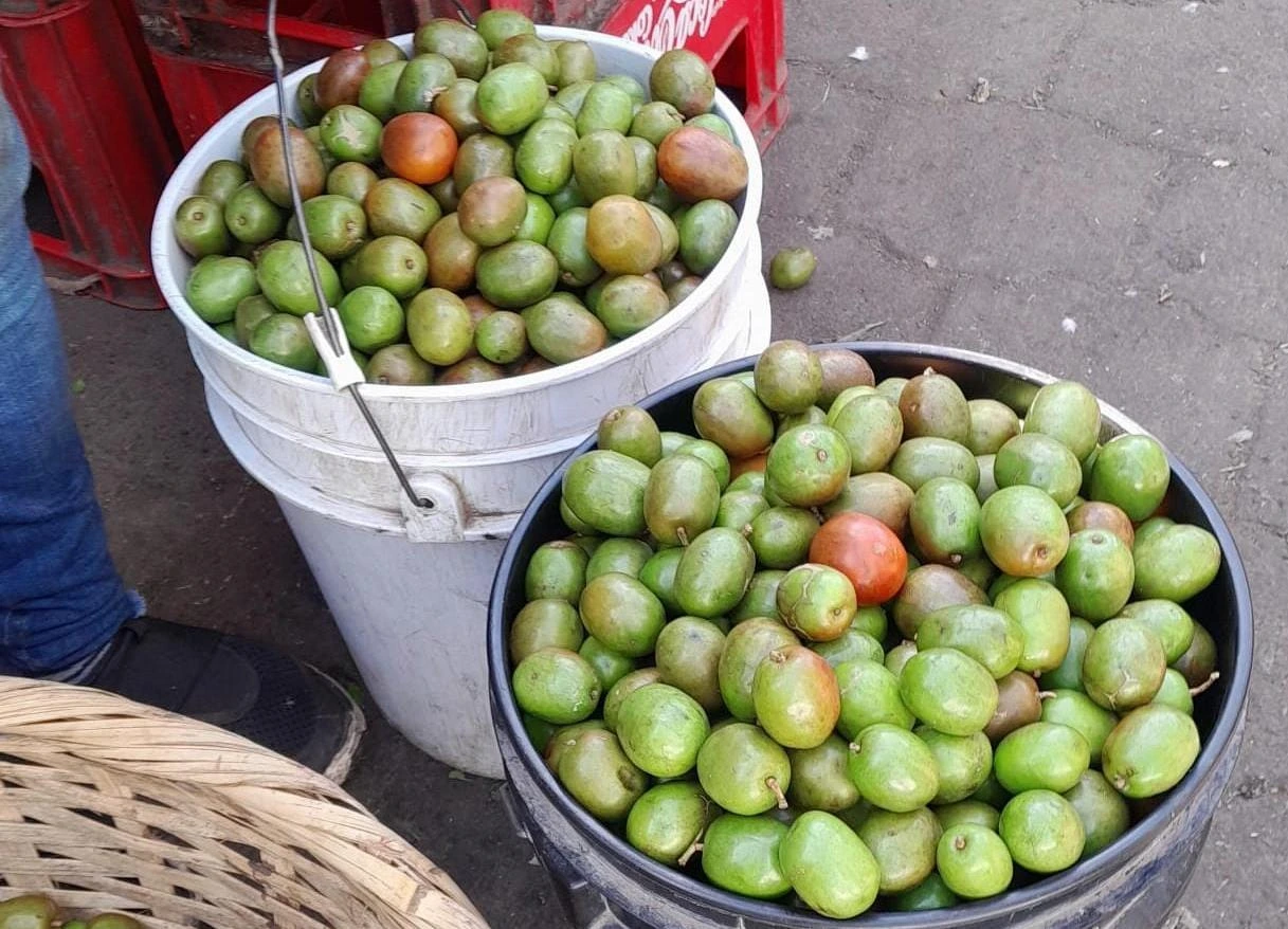 FRUTAS6