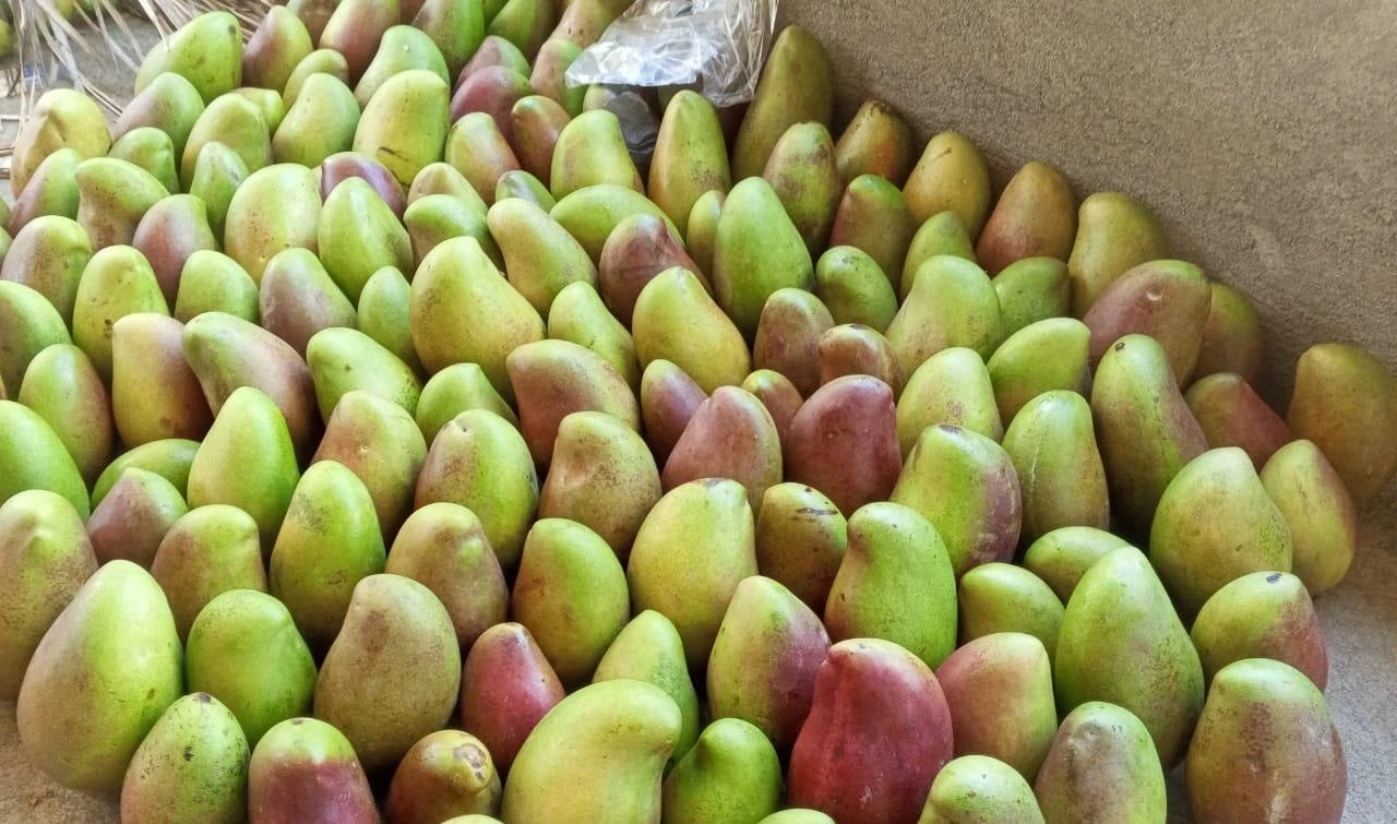 FRUTAS7