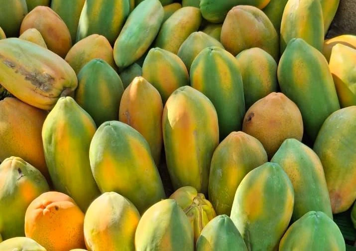FRUTAS9