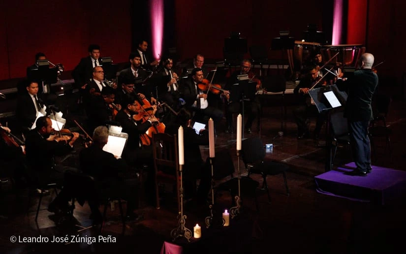 MOZART-(37)