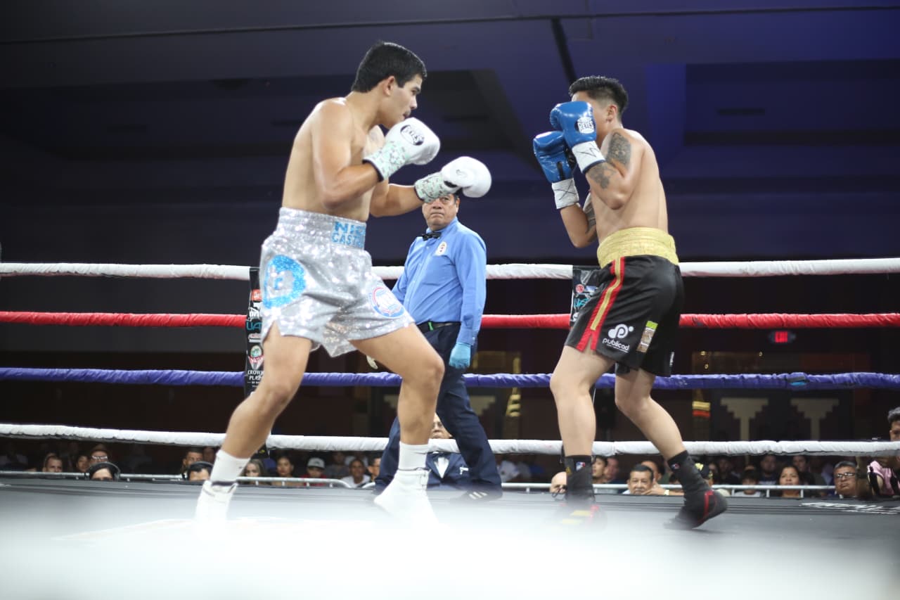 Boxeo--(110)