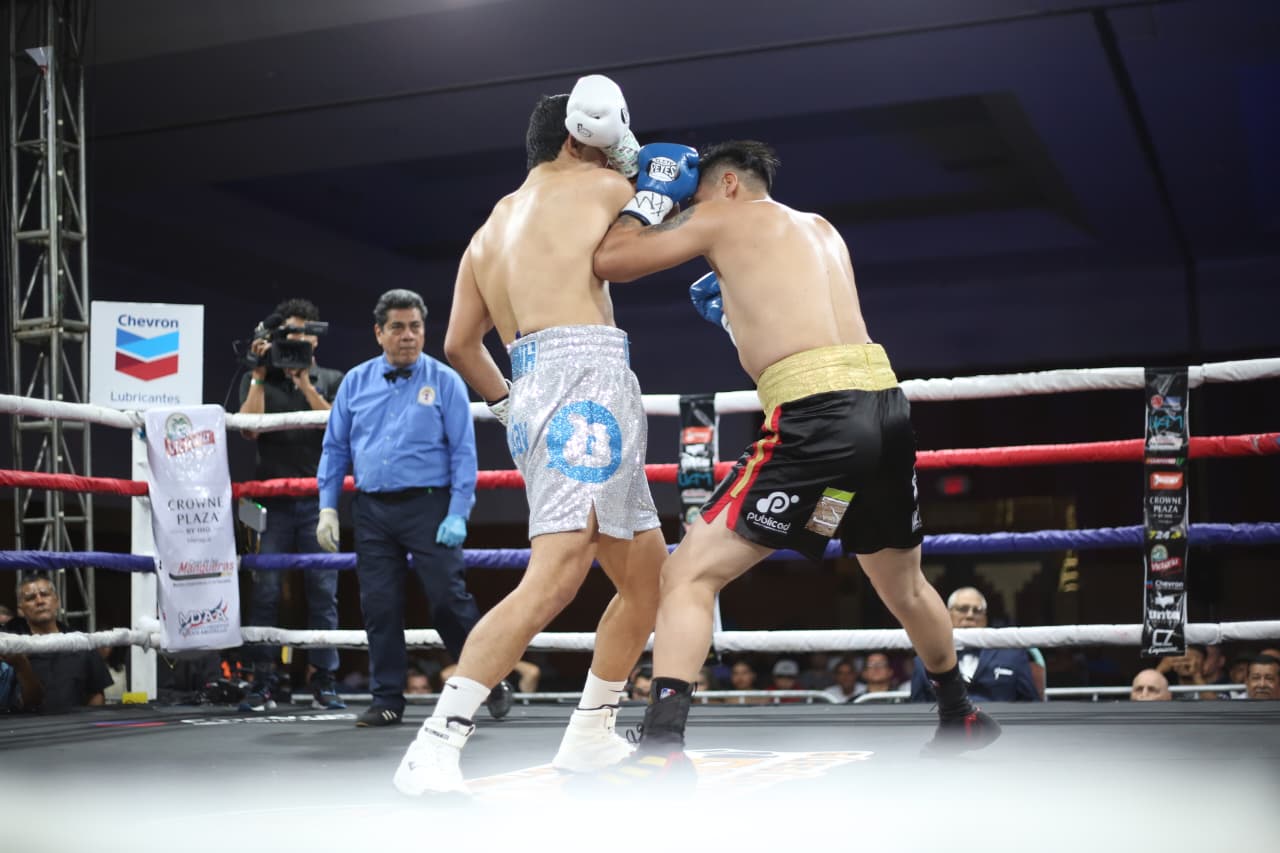 Boxeo--(111)