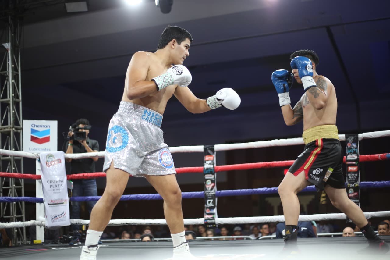 Boxeo--(114)