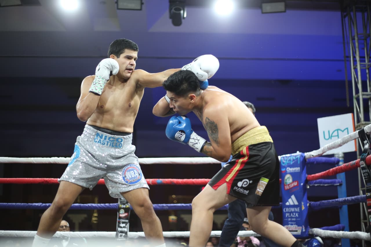 Boxeo--(117)