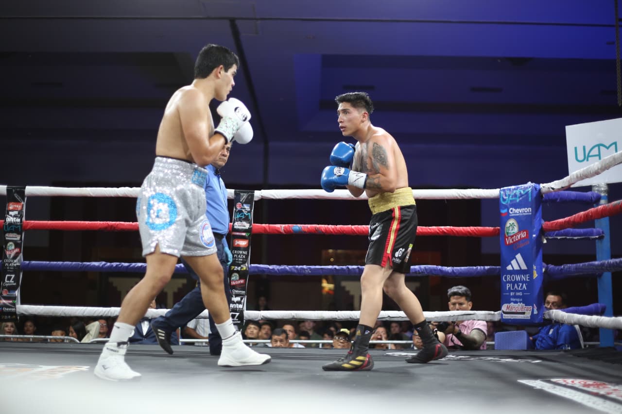Boxeo--(2)