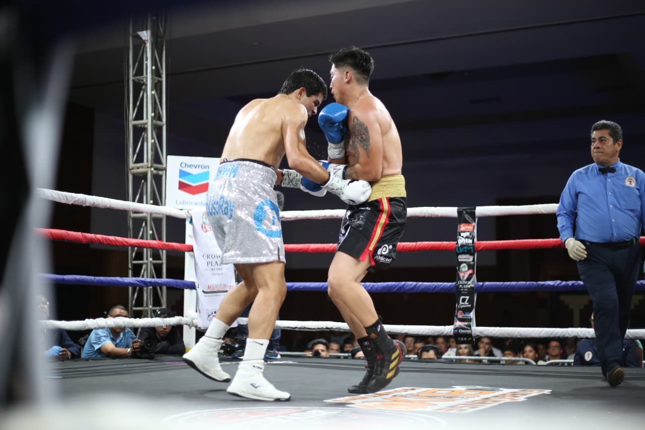 Boxeo--(33)
