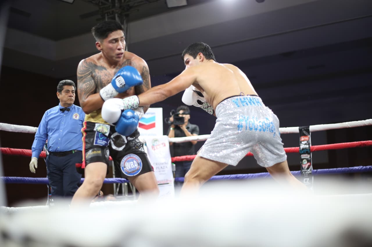 Boxeo--(5)