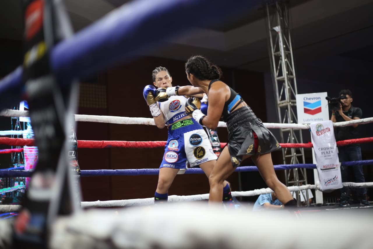 Boxeo--(50)