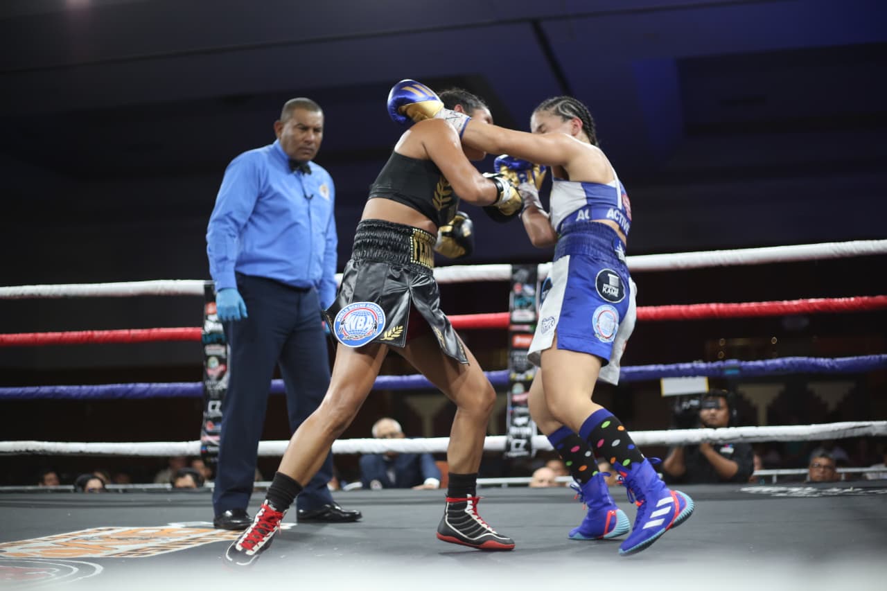 Boxeo--(84)