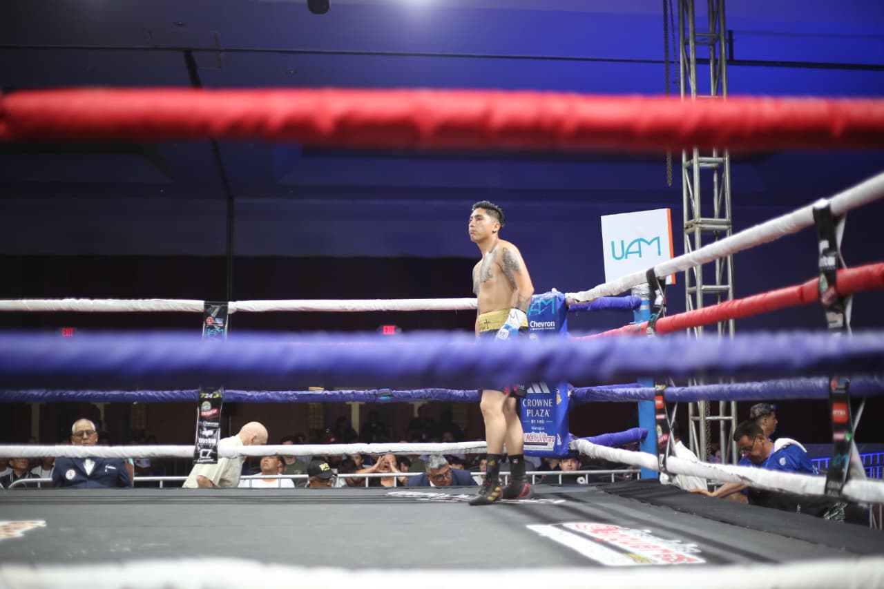 Boxeo--(99)