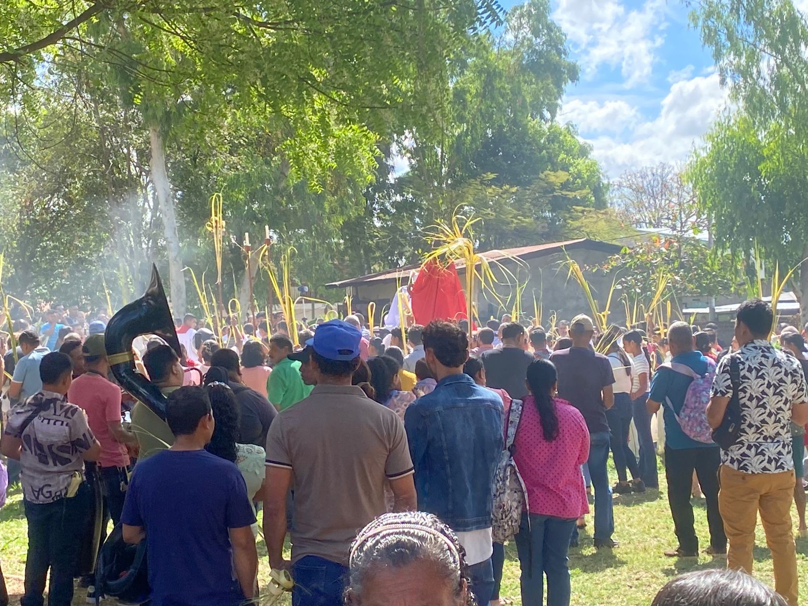 ESTELI-(19)